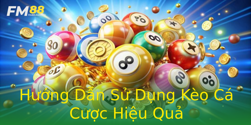 Hướng Dẫn Sử Dụng Kèo Cá Cược Hiệu Quả Hướng Dẫn Sử Dụng Kèo Cá Cược Hiệu Quả